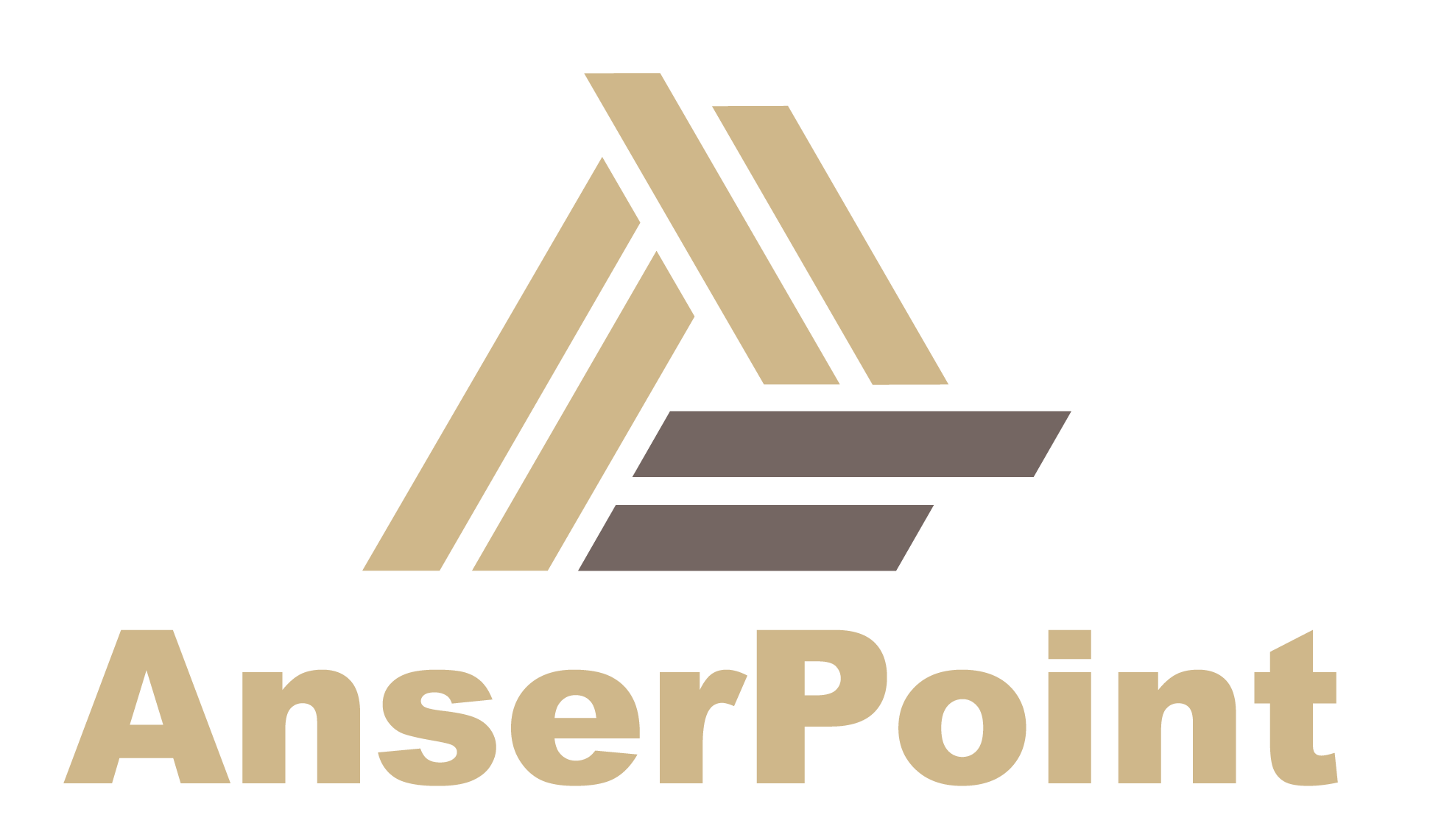 AnserPoint